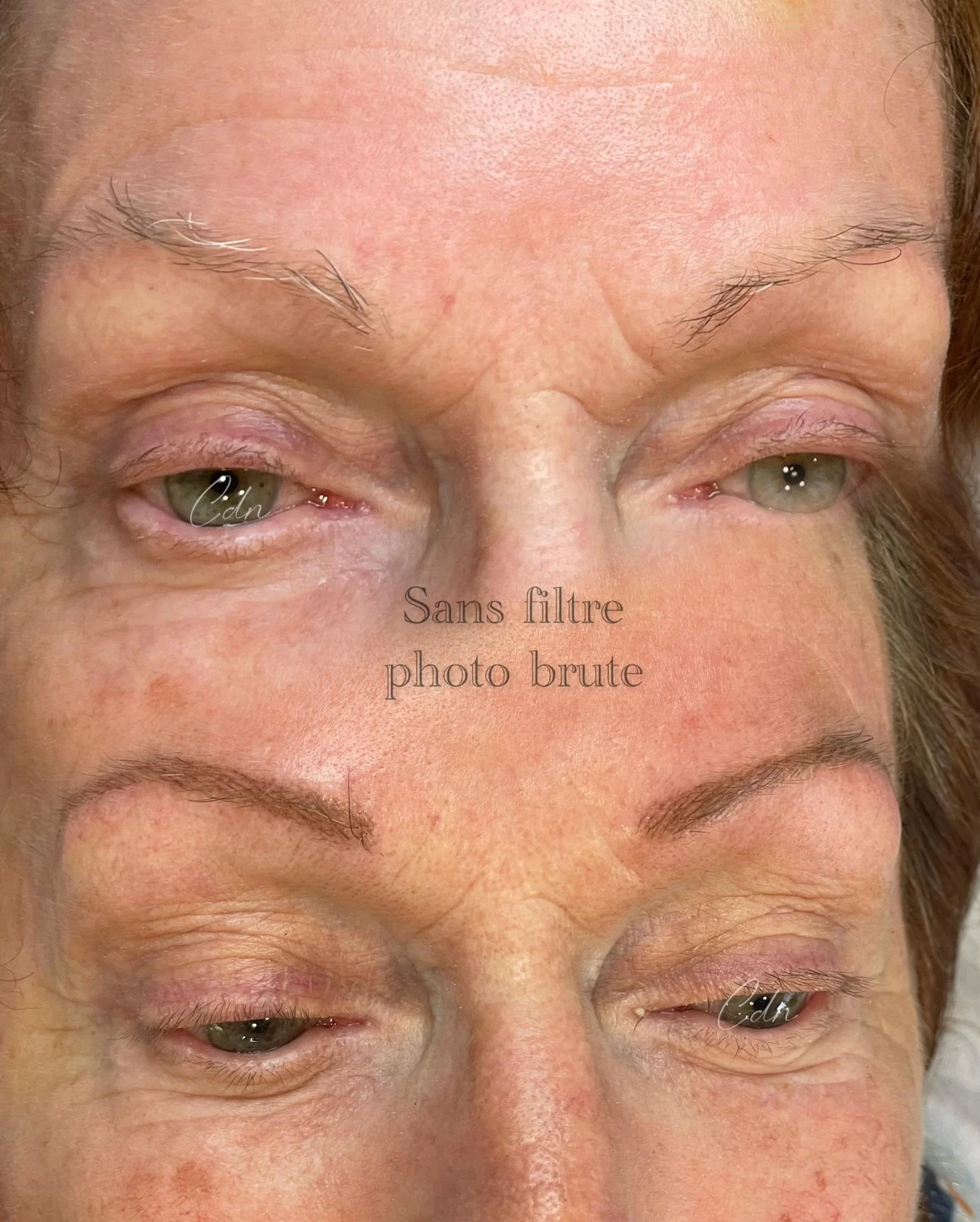 Sourcils tatouage naturel